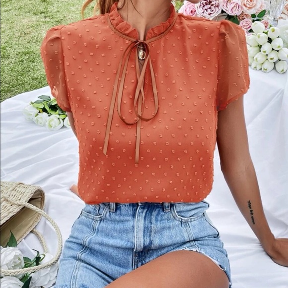 Boho Swiss dot tie neck puff sleeve blouse redwood - Picture 8 of 15